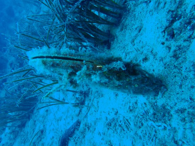 foto 31.05.19 21 01 02